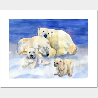 White bears Posters and Art